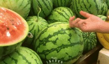 潮汕最近吃瓜,揭秘背后真相与热议