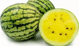 瓜瓜吃瓜教学,探索趣味教学新方式