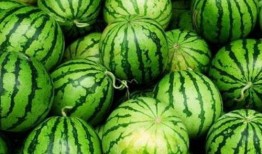 心脏不好可以吃瓜吗,瓜类食物的适宜与禁忌