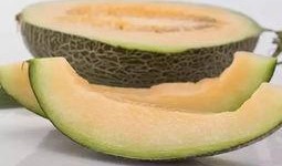 uki圈子吃瓜基地,揭秘吃瓜基地背后的精彩故事