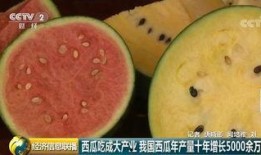 中国吃瓜群众在国外吃瓜,中国网友的跨国“瓜田”奇遇