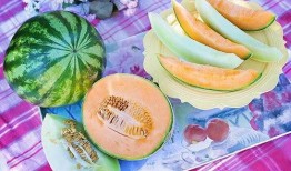 梦见吃瓜有子,吃瓜有子的寓意与启示