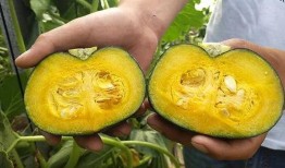 贝贝姐吃瓜,揭秘娱乐圈幕后故事