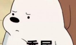 ip吃瓜半身表情包,半身表情包带你领略网络潮流新风向