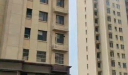 欢瑞高层吃瓜,一场吃瓜盛宴背后的权力博弈