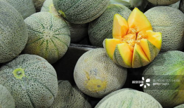 夏天吃瓜拍照,定格甜蜜时光