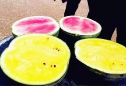 大良吃瓜爆料,揭秘娱乐圈幕后真相