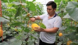 网红吃瓜杨,揭秘娱乐圈幕后真相的“瓜王”