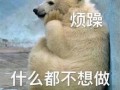 吃瓜 狼 表情包,趣味横生引发热议