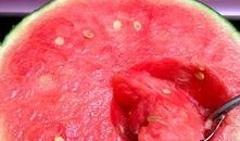 海底吃瓜日志,揭秘神秘海底吃瓜日志