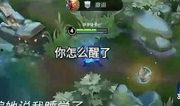 树叶王者荣耀官方吃瓜,官方吃瓜，揭秘树叶背后的神秘故事