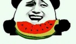 潇洒优雅吃瓜群众,吃瓜群众眼中的娱乐圈风云