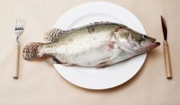 吃瓜的呆呆鱼,揭秘娱乐圈那些不为人知的幕后故事