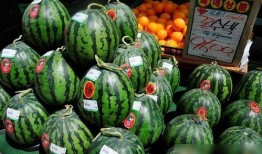 回隆卖衣服吃瓜,卖衣吃瓜，感受市井生活百态