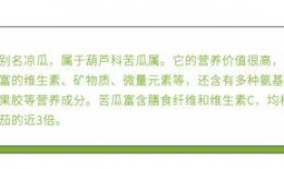 吃瓜群众处理方式,围观与反思的智慧之道