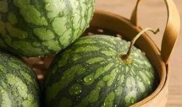 现在的新鲜吃瓜,揭秘娱乐圈最新鲜的“瓜”料