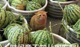 为什么吃瓜要钱,揭秘吃瓜为何需付费的背后真相