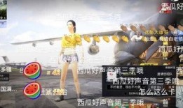 无忧车队吃瓜,一场吃瓜盛宴背后的故事