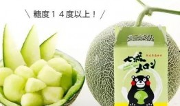 熊本吃瓜,揭秘日本熊本县独特的美食文化