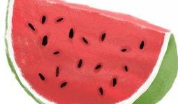 优秀的吃瓜图片,盘点那些让人垂涎欲滴的美食瞬间