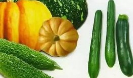 昆瓜怎么吃最好,这样吃最营养！