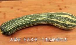 城市学吃瓜,探寻美食背后的城市文化底蕴