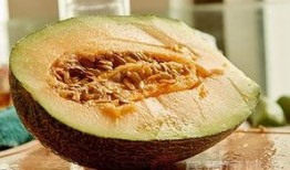 吃哈密瓜的人,品味人生甘甜瞬间