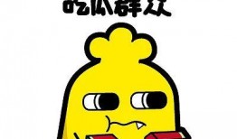 吃瓜群众新京报,热点追踪，深度解读