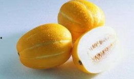 怀孕初期可以吃生瓜吗,生瓜食用指南与注意事项