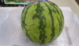 南宫雨轩吃瓜,揭秘娱乐圈幕后故事