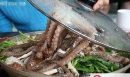 活章鱼吃瓜后续