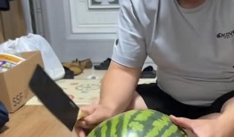 大型吃瓜现场的瓜,揭秘娱乐圈幕后风云