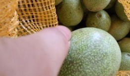 青皮瓜孕妇可以吃吗