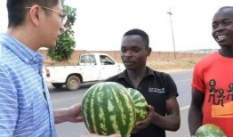 有没有吃瓜的人,揭秘吃瓜与不吃瓜的人生百态