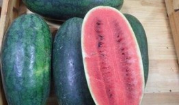 黑料吃瓜网吃瓜2,揭秘娱乐圈吃瓜2背后的真相与内幕