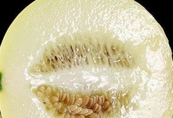 瓶子吃瓜盘点,揭秘娱乐圈那些不为人知的幕后故事