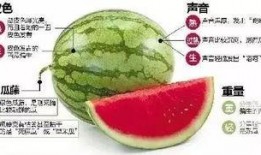 微信查吃瓜,轻松追踪热点事件，畅享网络八卦盛宴